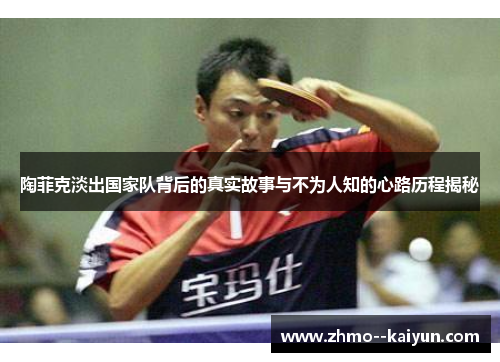 陶菲克淡出国家队背后的真实故事与不为人知的心路历程揭秘 陶菲克淡出国家队背后的真实故事与不为人知的心路历程揭秘