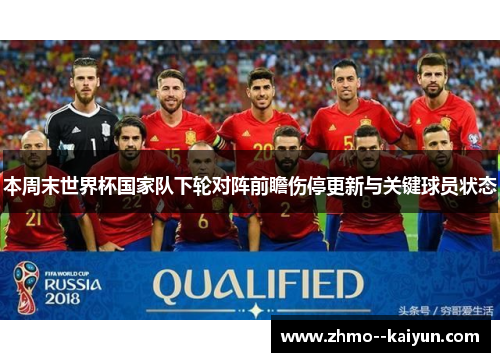 本周末世界杯国家队下轮对阵前瞻伤停更新与关键球员状态